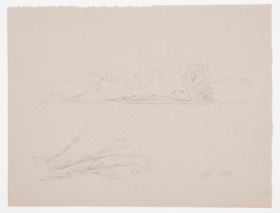 Dibujo, Bocetos botánicos: paisaje, árboles en una orilla, septiembre de 1876 de Frederic Edwin Church