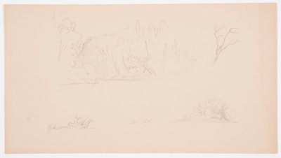 Dibujo, Bocetos botánicos: árbol, árboles en la orilla, septiembre de 1876 de Frederic Edwin Church