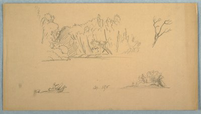 Dibujo, Bocetos botánicos: árbol, árboles en la orilla, septiembre de 1876 de Frederic Edwin Church
