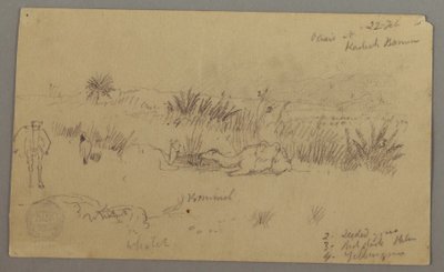 Dibujo, Camellos bebiendo en una colina, 22 de febrero, posiblemente 1868 de Frederic Edwin Church