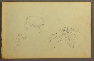 Dibujo, Vaca rascándose la cabeza, planta de hojas, posiblemente 1844 de Frederic Edwin Church