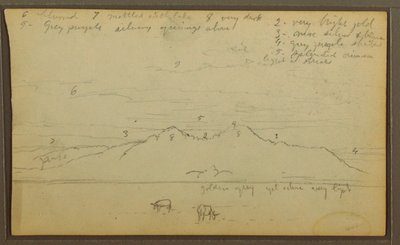 Dibujo, Vacas en un paisaje; reverso: Bambú, 1857 de Frederic Edwin Church
