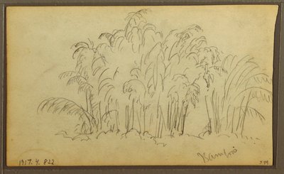 Dibujo, Vacas en un paisaje; reverso: Bambú, 1857 de Frederic Edwin Church