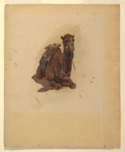 Dibujo, Dromedario agazapado, 1868 de Frederic Edwin Church