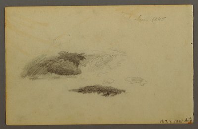 Dibujo, Abedul carcomido, 1844 de Frederic Edwin Church