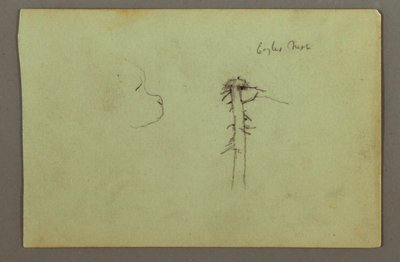 Dibujo, Cabeza de perro, nido de águila en la copa de un árbol, posiblemente 1856 de Frederic Edwin Church