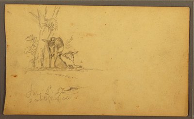 Dibujo, Burros, 2 de junio de 1857 de Frederic Edwin Church