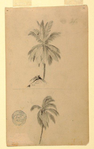 Dibujo, Dibujos.  Dos bocetos.  Palmeras., 1857 de Frederic Edwin Church