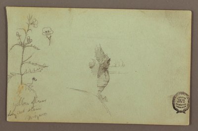 Dibujo, Planta en flor y una roca entre las cataratas americana y canadiense del Niágara, posiblemente 1858 de Frederic Edwin Church