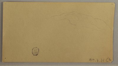 Dibujo, Plantas en flor, ca. 1856 de Frederic Edwin Church