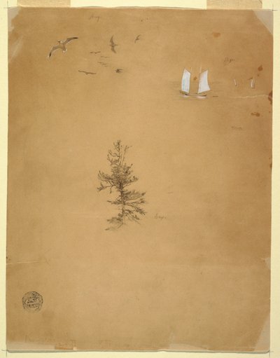 Dibujo, Gaviotas, Veleros, Árbol, agosto y septiembre de 1859 de Frederic Edwin Church