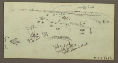 Dibujo, Colina, Arbustos, Figura, Estudios sobre camellos, posiblemente 1868 de Frederic Edwin Church