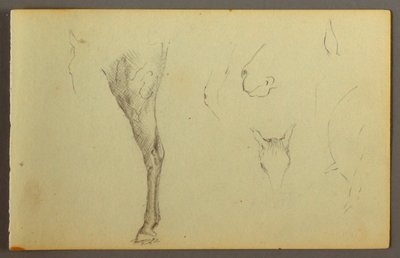 Dibujo, Estudios sobre caballos, posiblemente 1844 de Frederic Edwin Church