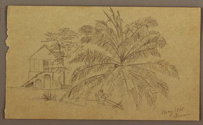 Dibujo, Casa y helecho, mayo de 1865 de Frederic Edwin Church