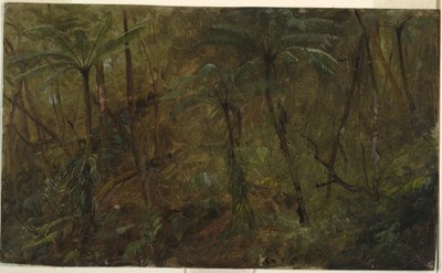 Dibujo, En los bosques de Jamacia, Antillas, 1865 de Frederic Edwin Church