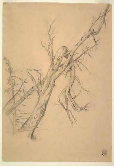 Dibujo, campamento indio, Grand Manan, Bahía de Fundy, septiembre de 1851 de Frederic Edwin Church