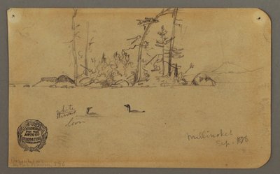 Dibujo, Isla, Dos colimbos, 1878 de Frederic Edwin Church