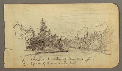 Dibujo, Lago rodeado de árboles, posiblemente 1878 de Frederic Edwin Church