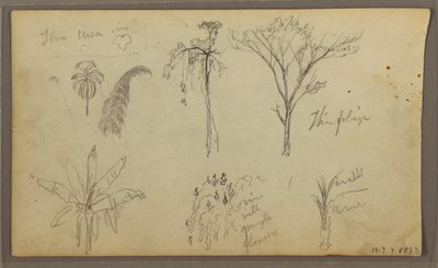 Dibujo, Paisaje, Guayaquil, Ecuador, 21 de mayo de 1857 de Frederic Edwin Church