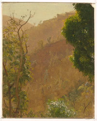 Dibujo, Paisaje, julio de 1865 de Frederic Edwin Church