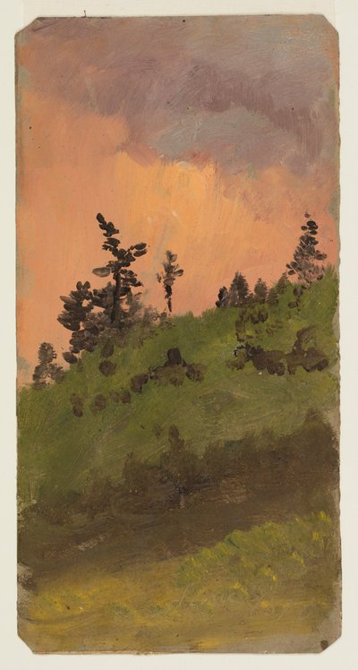 Dibujo, Paisaje en el bosque, junio de 1870 de Frederic Edwin Church