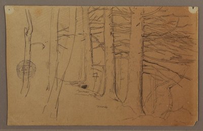 Dibujo, Partes inferiores de un grupo de árboles que crecen en una ladera, 1862 de Frederic Edwin Church