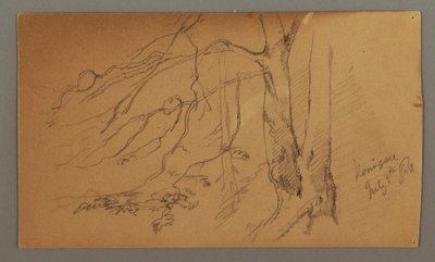 Dibujo, Mitad inferior del árbol, 9 de julio de 1868 de Frederic Edwin Church