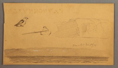 Dibujo, Hombre en barca, pájaro, acantilados, costa, 6 de julio de 1859 de Frederic Edwin Church