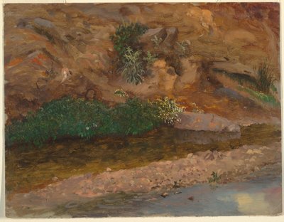 Dibujo, Margen de un arroyo, 1860-70 de Frederic Edwin Church