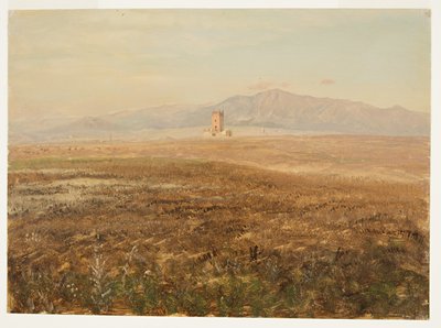 Dibujo, Paisaje mexicano, abril de 1869 de Frederic Edwin Church