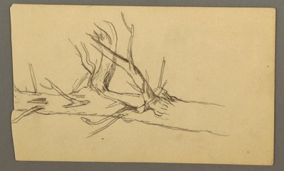 Dibujo, Sección media de un tronco de árbol muerto, 1877 de Frederic Edwin Church