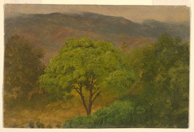 Dibujo, Paisaje de montaña, agosto de 1865 de Frederic Edwin Church