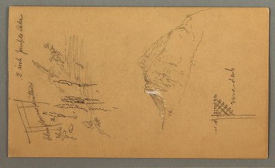 Dibujo, Pico de montaña, Vegetación junto a estanque, 1868 de Frederic Edwin Church