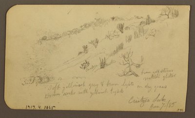 Dibujo, Montaña, Zapotlán; Verso: Ladera arbolada, Lago de Cuitzeo, enero de 1885. de Frederic Edwin Church