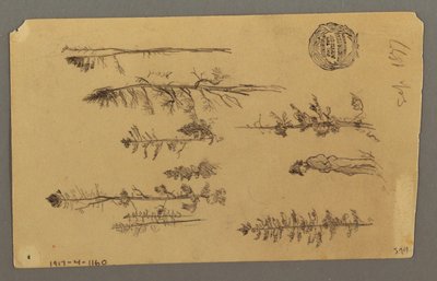 Dibujo, Cima de una montaña, 1877 de Frederic Edwin Church