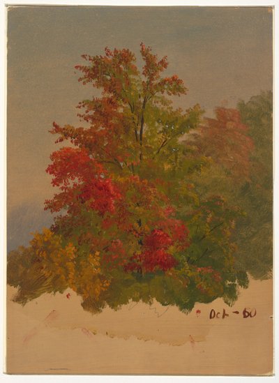 Dibujo, Mt. Desert Island , Maine, octubre de 1860 de Frederic Edwin Church