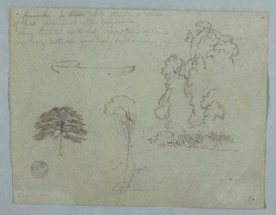 Dibujo, Estudios de la naturaleza del Río Magdalena, Colombia:  Árboles, enredaderas y una canoa, mayo de 1853 de Frederic Edwin Church