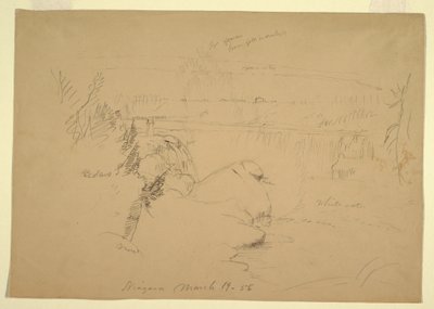 Dibujo, Cataratas del Niágara, vista desde Goat Island, 19 de marzo de 1856 de Frederic Edwin Church