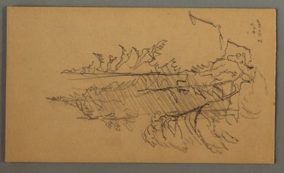 Dibujo, Pinos, posiblemente 1868 de Frederic Edwin Church