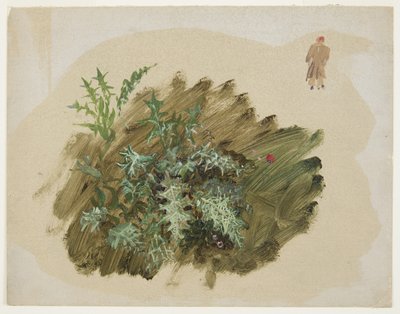 Dibujo, Estudios de plantas, 1865 de Frederic Edwin Church