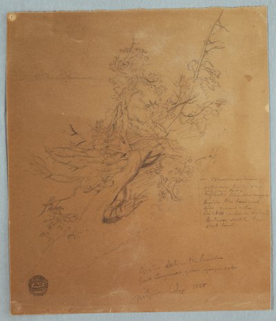 Dibujo, Árbol escarpado en el banco canadiense bajo las cataratas del Niágara, septiembre de 1856 de Frederic Edwin Church
