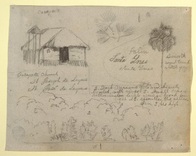 Dibujo, Iglesia de San José de Lapas, Carapata y estudios botánicos, probablemente Colombia, 1853 de Frederic Edwin Church