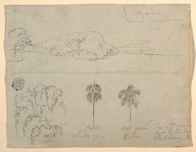 Dibujo, Bocetos de Colombia:  Orilla de un río o bahía, y Árboles., 1853 de Frederic Edwin Church
