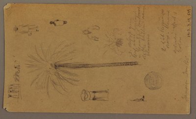 Dibujo, Bocetos de Jamaica, Indias Occidentales, junio de 1865 de Frederic Edwin Church