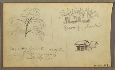 Dibujo, Esquina de calle en Guaquil, Ecuador; Verso: Bocetos botánicos, casa, Ecuador o Colombia, 1857 de Frederic Edwin Church