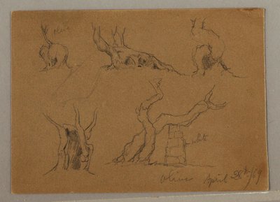 Dibujo, Estudios de troncos de olivo, 28 de abril de 1869 de Frederic Edwin Church