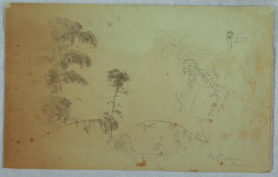Dibujo, Estudios de árboles con detalles de bambú y un pequeño detalle de un hombre que lleva plátanos en la cabeza, Bellevue, Jamaica, agosto de 1865. de Frederic Edwin Church