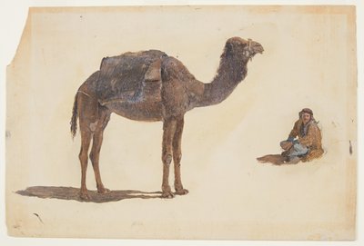 Dibujo, Estudio de un dromedario, 1868 de Frederic Edwin Church