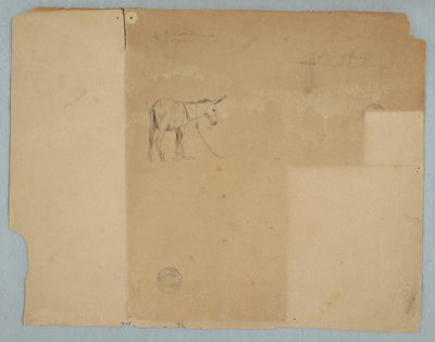 Dibujo, Asno atado y un estilo de cerca, Sudamérica, 1853 de Frederic Edwin Church