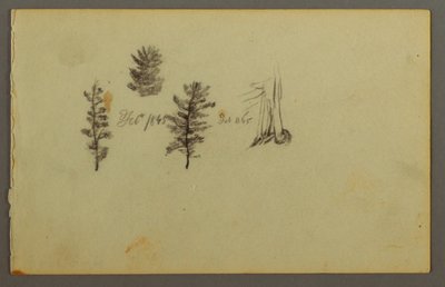 Dibujo, Tres árboles de hoja perenne, 1845 de Frederic Edwin Church